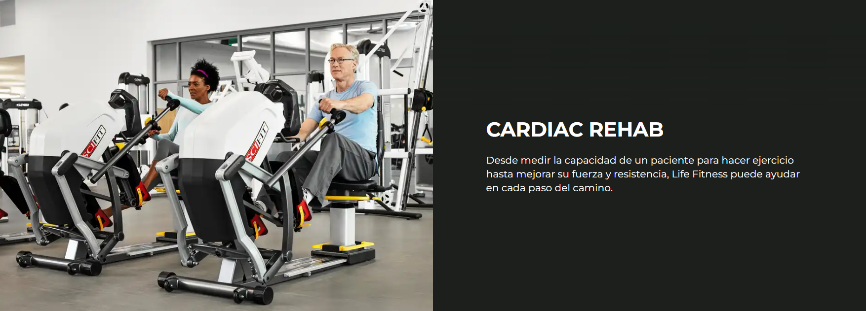 Life Fitness